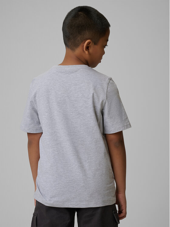 4F 4F T-Shirt BASIC+ Šedá Regular Fit