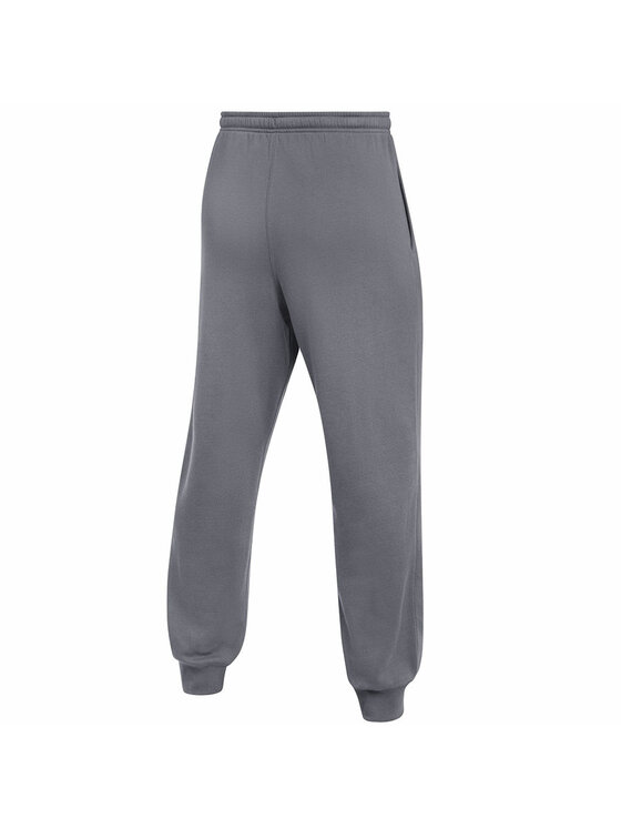 Nike Nike Spodnie dresowe IB1248-071 Szary Regular Fit