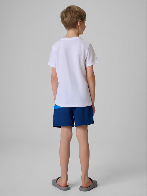 4F 4F Szorty sportowe BEACHSIDE CHILL Granatowy Board Fit