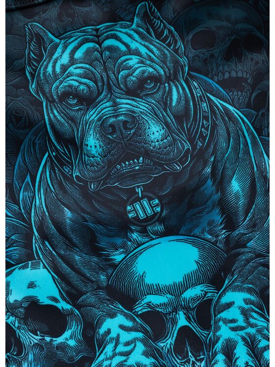 PITBULL PITBULL Szorty sportowe GUARDIAN ANGEL Czarny Regular Fit