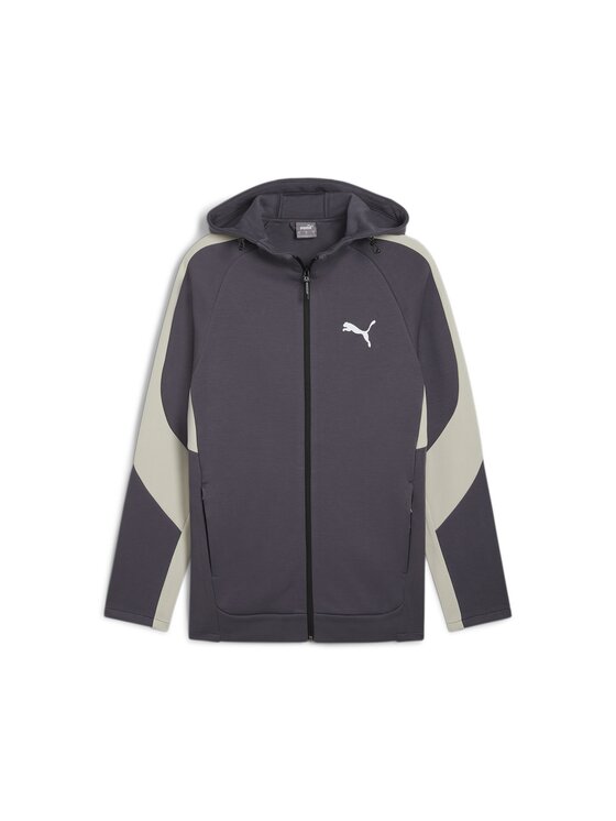 Puma Puma Bluza 681700 Szary Regular Fit