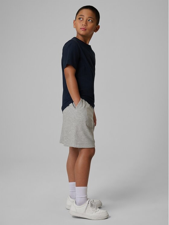 4F 4F Szorty sportowe BASIC+ Szary Regular Fit