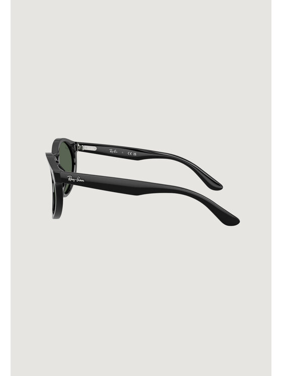 Ray-Ban Ray-Ban Okulary przeciwsłoneczne 0RBR0505S 6677VR Czarny