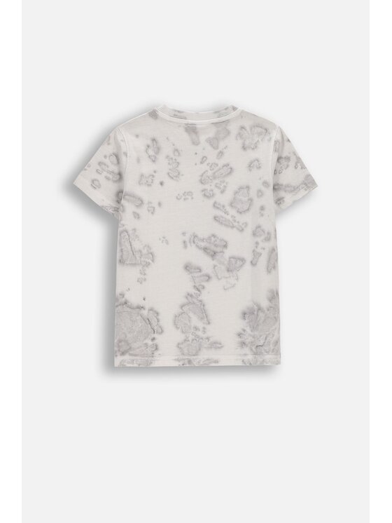 Coccodrillo Coccodrillo T-Shirt WC6143202RBK-019 Szary Regular Fit