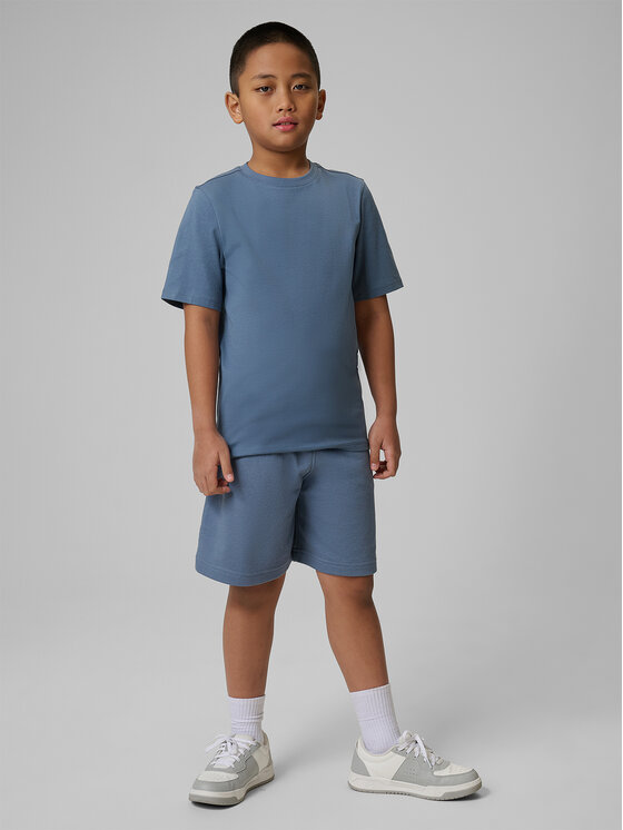 4F 4F Szorty sportowe BASIC+ Regular Fit
