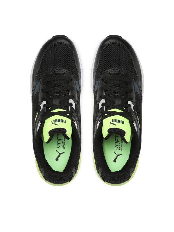 Puma ray tracer 2025