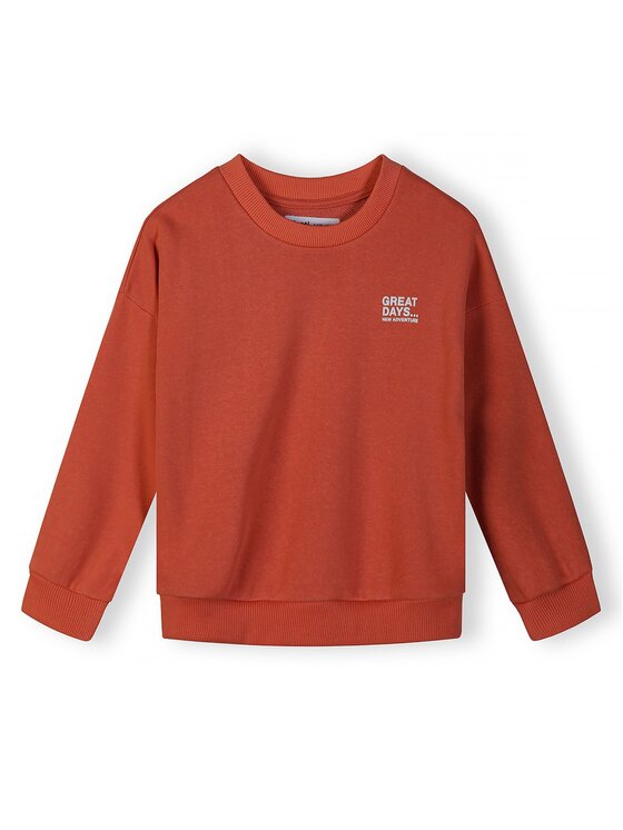 minoti minoti Bluza NOSFLEECE403 Niebieski Regular Fit