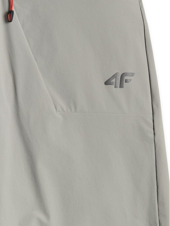 4F 4F Szorty sportowe TREKKING Szary Regular Fit