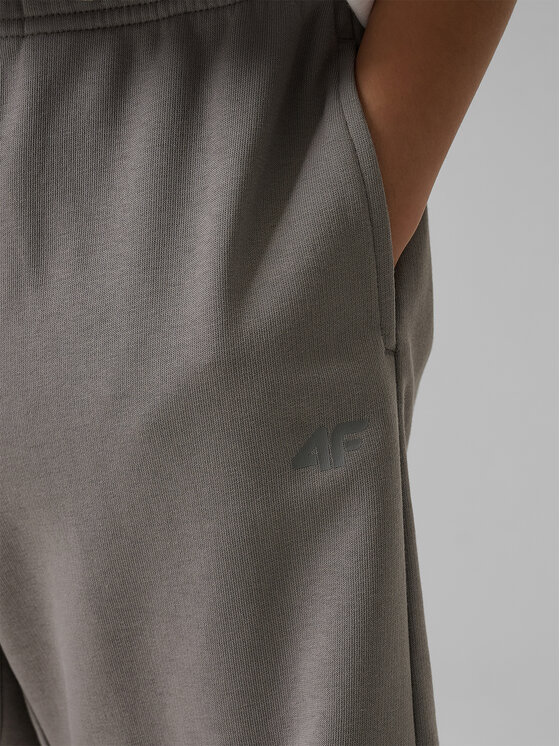 4F 4F Szorty sportowe WAVE RIDERS CLUB Szary Loose Fit