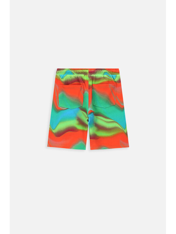 Coccodrillo Coccodrillo Szorty WC4120502DWJ-022 Kolorowy Regular Fit