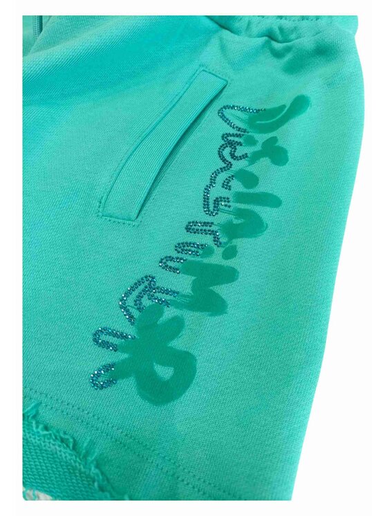 DISCLAIMER DISCLAIMER Szorty q-bab-69432 Zielony Regular Fit