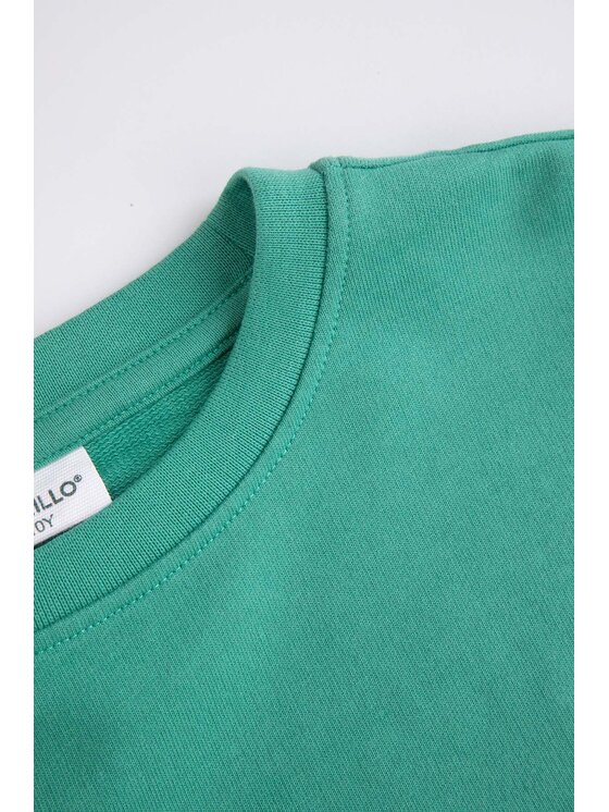 Coccodrillo Coccodrillo Bluza ZC5132101RGJ-011 Zielony Regular Fit