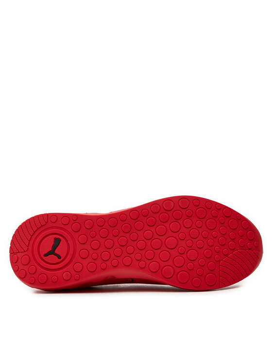 Puma Puma Tossud Softride Carson 310154 03 Punane