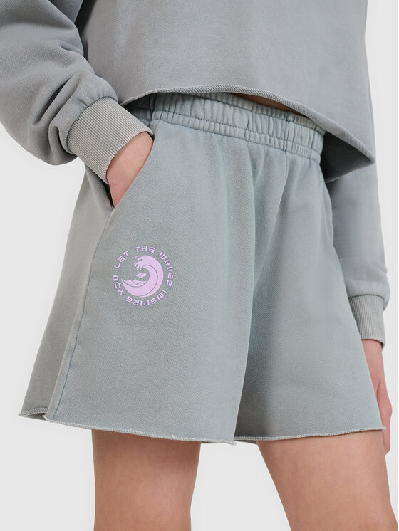 4F 4F Szorty sportowe SWELLS OF THE OCEAN Szary Regular Fit