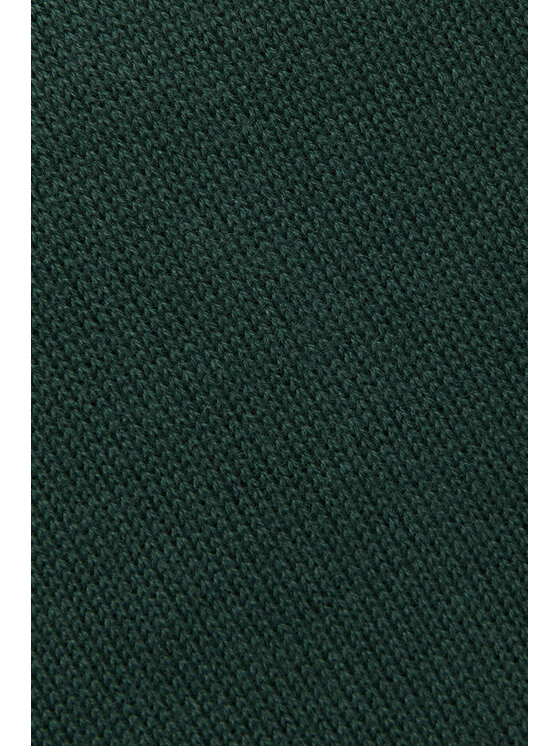 Próchnik Próchnik Sweter PM7 SW073224000003 Zielony Regular Fit