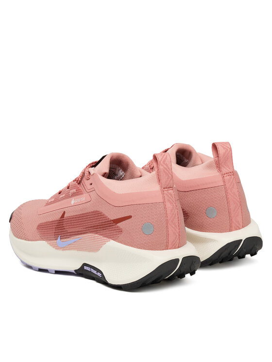Nike Nike Παπούτσια για Τρέξιμο W Pegasus Trail 5 Gtx GORE-TEX FQ0912 602 Ροζ