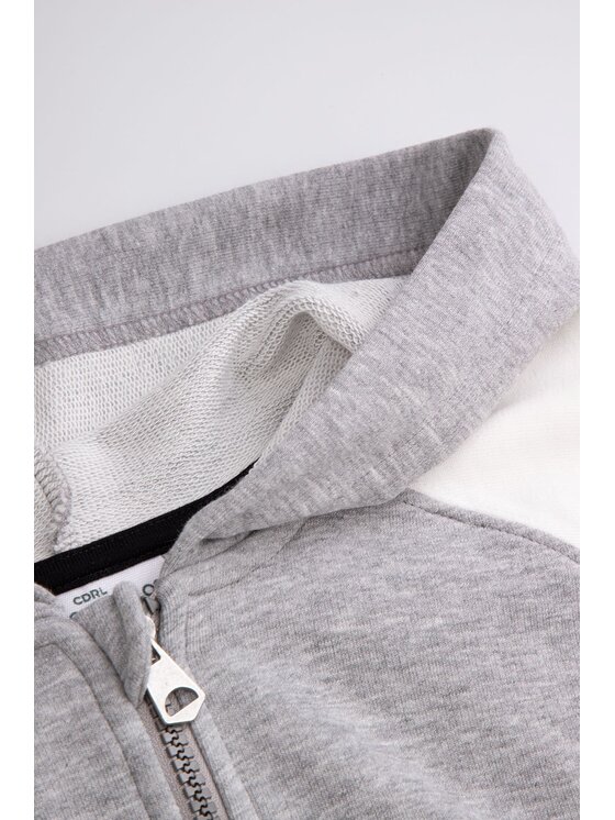Coccodrillo Coccodrillo Mikina ZC5132401ABJ-022 Barevná Regular Fit