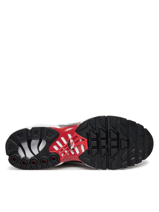 Nike Nike Sneakers Air Max Plus FN6949 002 Gri