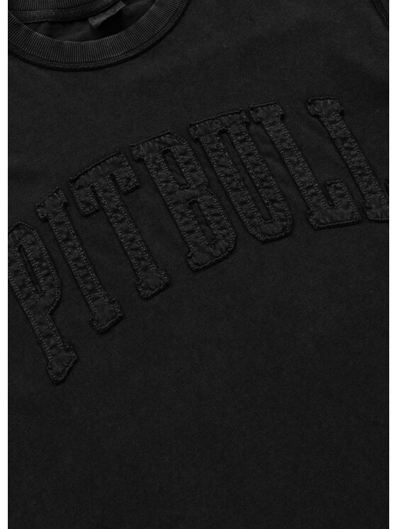PITBULL PITBULL T-Shirt NORTON APP Szary Regular Fit