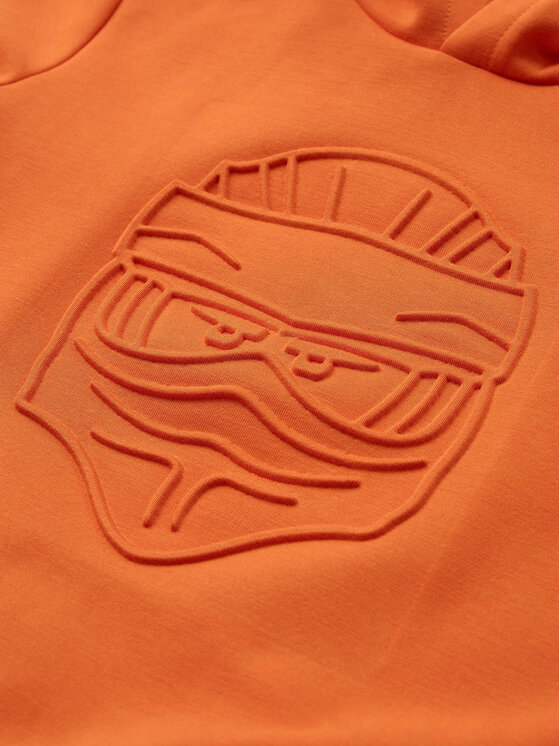 LEGO LEGO Sweatshirt 11010950 Orange Regular Fit