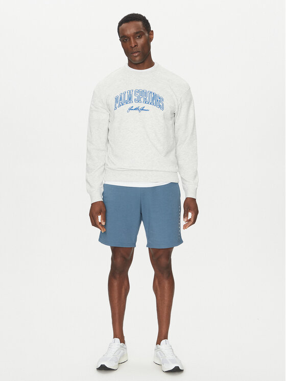 Jack&Jones Jack&Jones Džemperis Detroit 12268470 Pilka Relaxed Fit