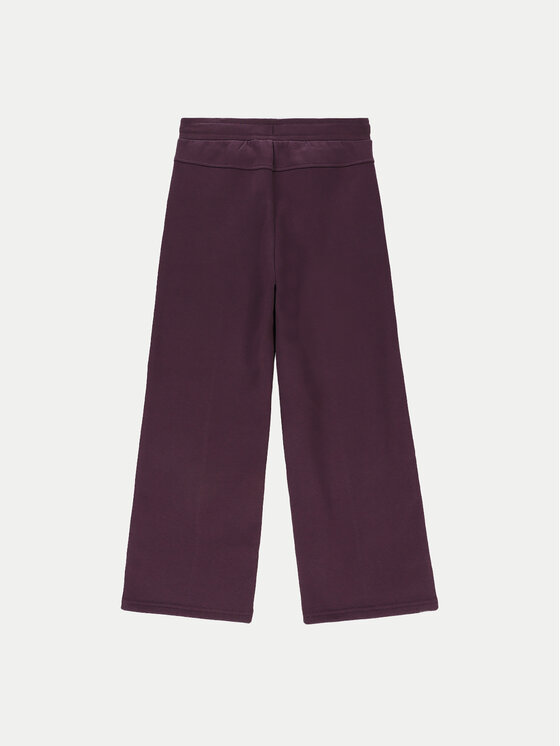 Coccodrillo Coccodrillo Jogginghose ZC4120103AGJ Violett Regular Fit
