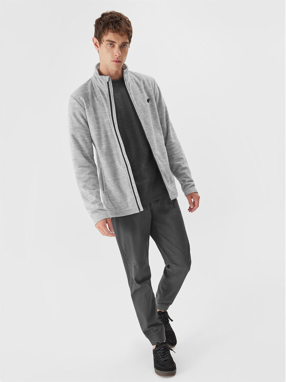 4F 4F Флісовий реглан 4FAW23TFLEM120 Сірий Regular Fit