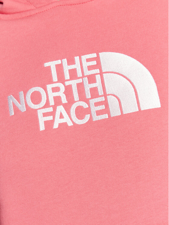 Pull the 2024 north face