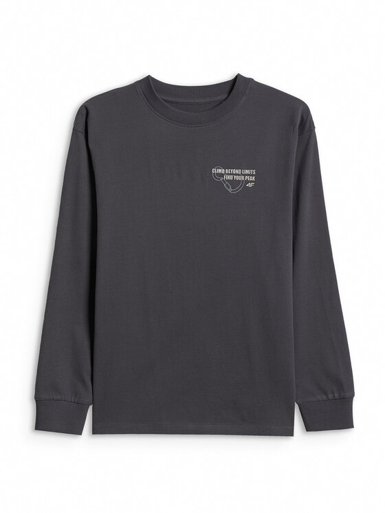 4F 4F Bluza ENJOY THE OUTDOORS Szary ciemny Loose Fit