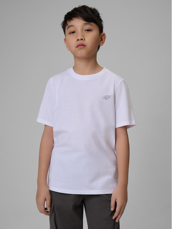 4F 4F T-Shirt BASIC+ Kolorowy Regular Fit