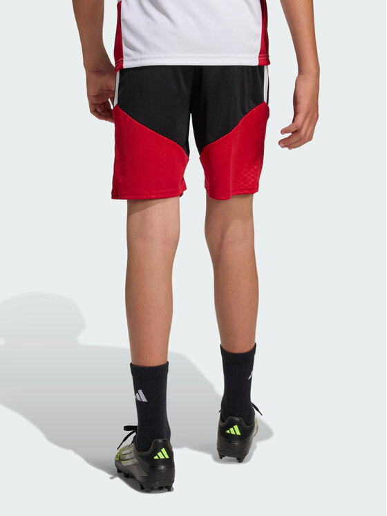 adidas adidas Szorty sportowe 162075 Czarny Regular Fit