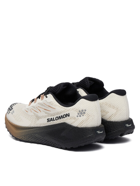 Salomon Salomon Scarpe running Aero Blaze 4 gtx GORE-TEX L45403200 Beige