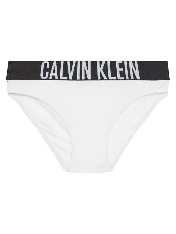 Calvin Klein Underwear Calvin Klein Underwear Komplektas: 2 kelnaičių poros G80G800729 Spalvota