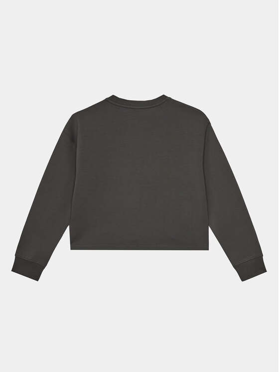 Calvin Klein Jeans Calvin Klein Jeans Bluza Mercury Monogram IG0IG02482 Szary Regular Fit