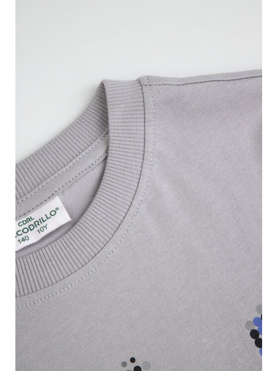 Coccodrillo Coccodrillo T-Shirt ZC6143204VBA-019 Szary Regular Fit