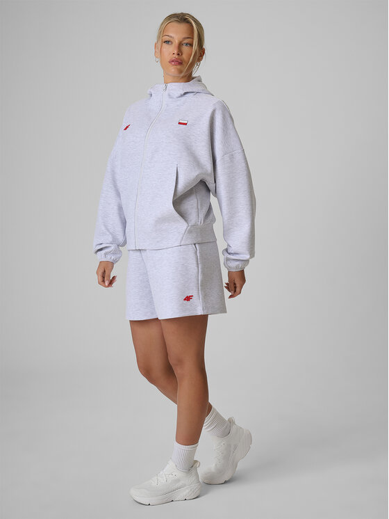 4F 4F Szorty sportowe STREFA KIBICA Szary jasny Regular Fit