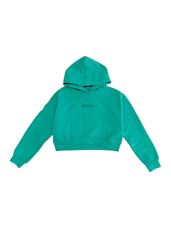 DISCLAIMER DISCLAIMER Felpa q-bab-69429 Verde Regular Fit