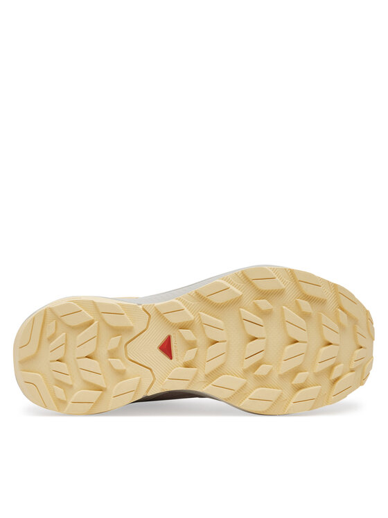 Salomon Salomon Pārgājienu apavi Elixir Activ Gore-Tex L47760100 Brūns