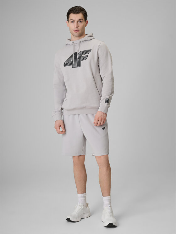 4F 4F Szorty sportowe COMMERCIAL 3 Szary jasny Regular Fit