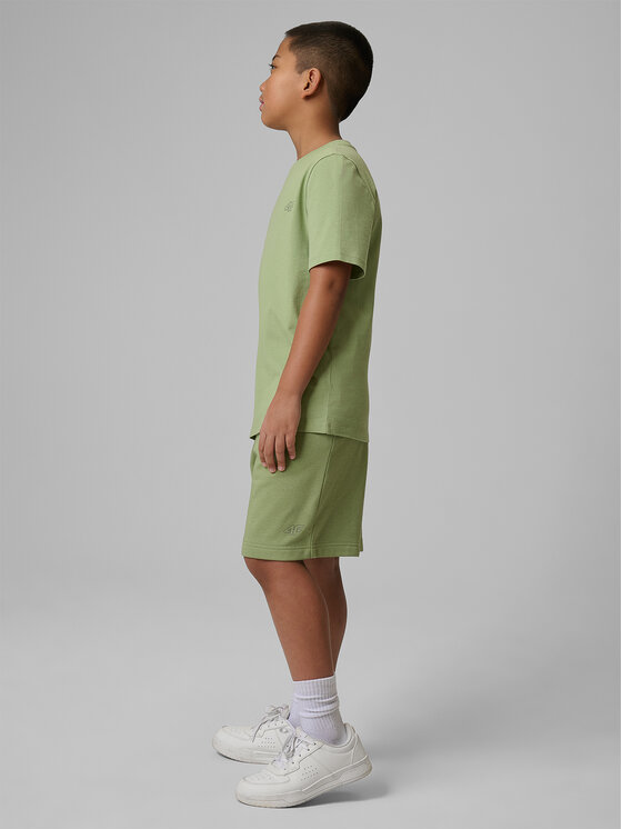 4F 4F Szorty sportowe BASIC+ Turkusowy Regular Fit