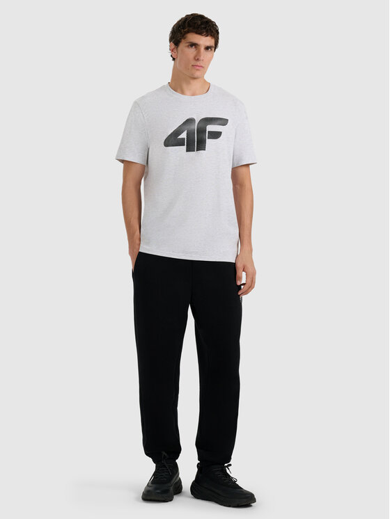 4F 4F T-Shirt NOS Szary jasny Regular Fit