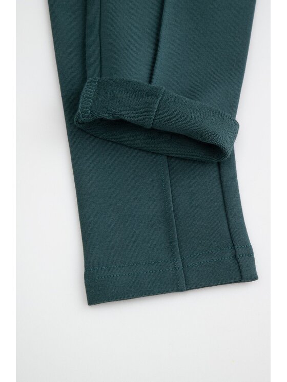 Coccodrillo Coccodrillo Legginsy ZC5122701FGK-011 Zielony