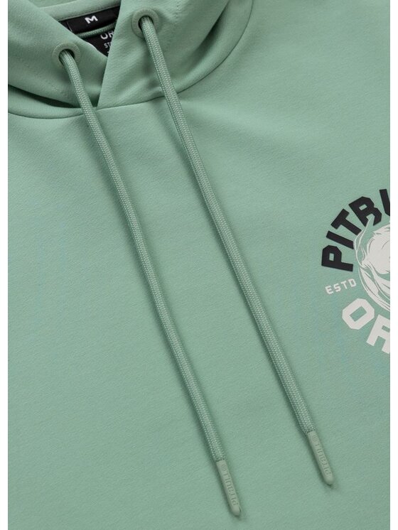 PITBULL PITBULL Bluza DOG SD Zielony Regular Fit
