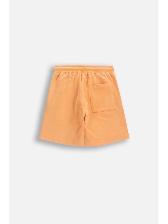 Coccodrillo Coccodrillo Šortky z materiálu WC6120501IBK-006 Oranžová Regular Fit