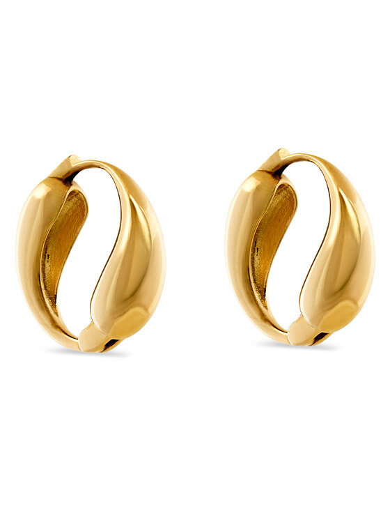 Aldo Aldo Сережки Cristyna 13834922 Золотий