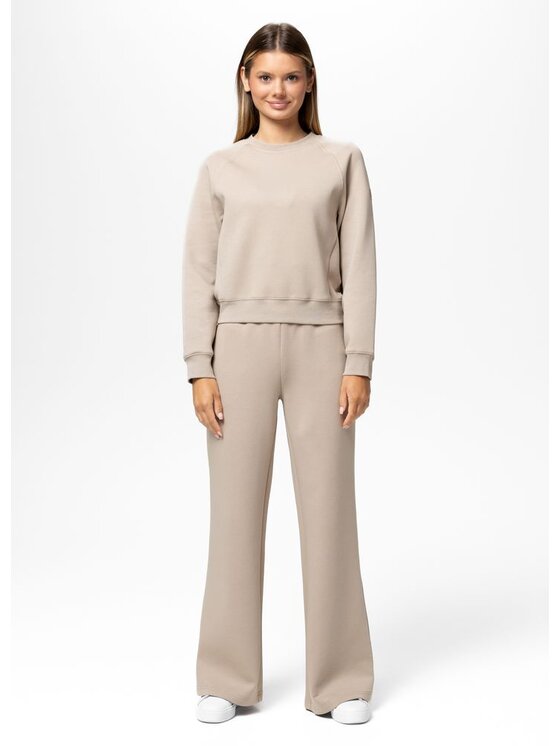 PITBULL PITBULL Bluza Discovery Brązowy Regular Fit