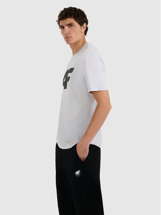 4F 4F T-Shirt NOS Szary jasny Regular Fit