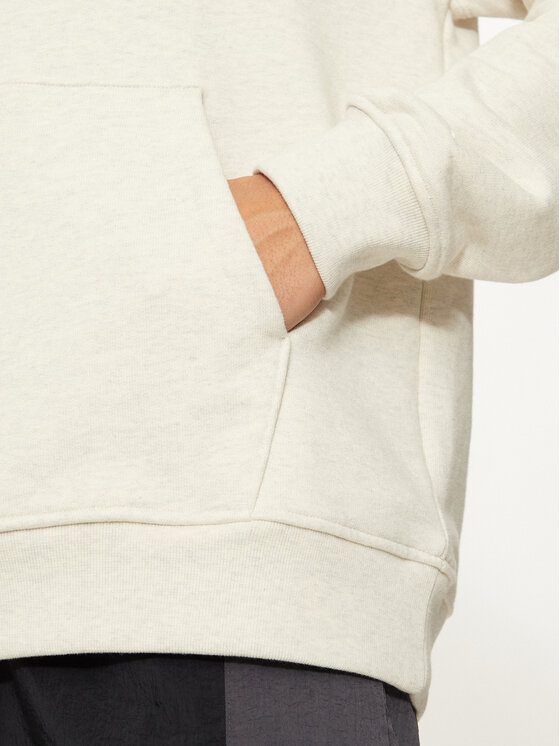Nike Nike Bluza FJ1966 Szary Regular Fit