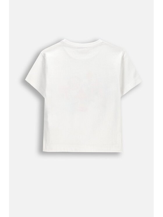 Coccodrillo Coccodrillo T-Shirt WC6143203QGK-001 Biały Regular Fit