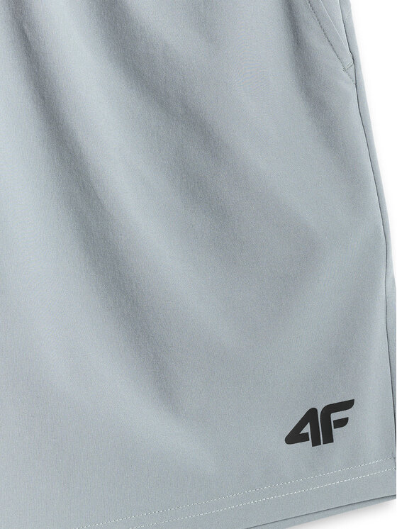 4F 4F Szorty sportowe NO LIMITS Szary Regular Fit